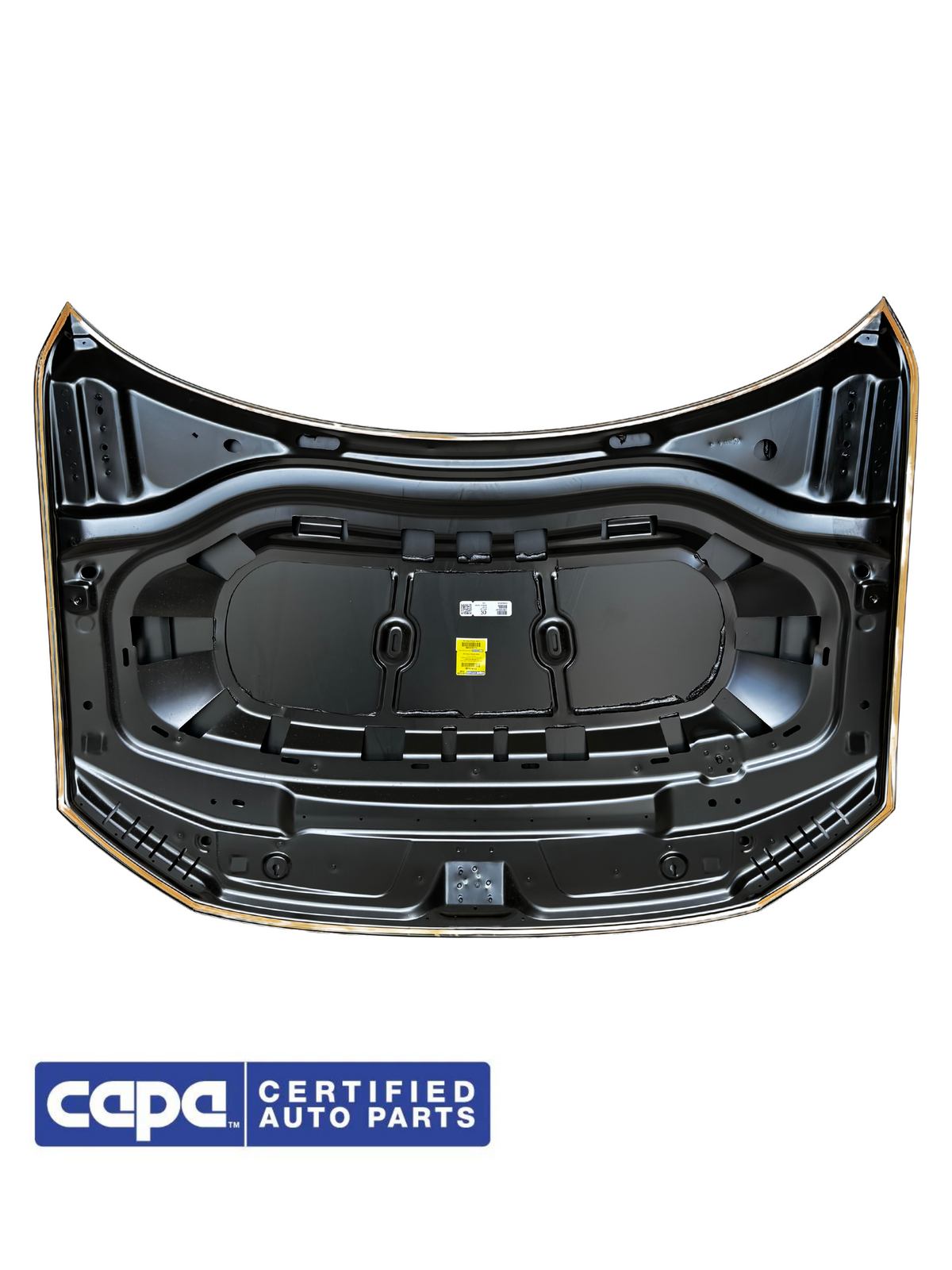 2018-2024 Volkswagen Tiguan (Hood) (CAPA)
