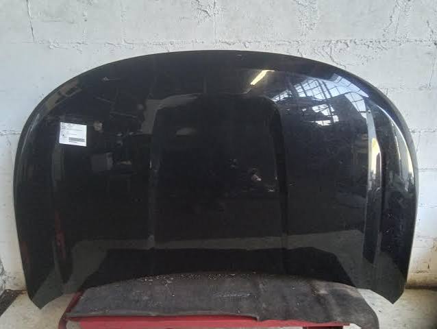 2011-2019 Ford Explorer (Hood)